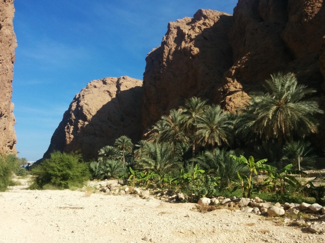 Wadi Shab'ın yeşili